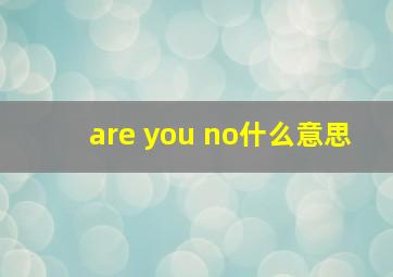 are you no什么意思